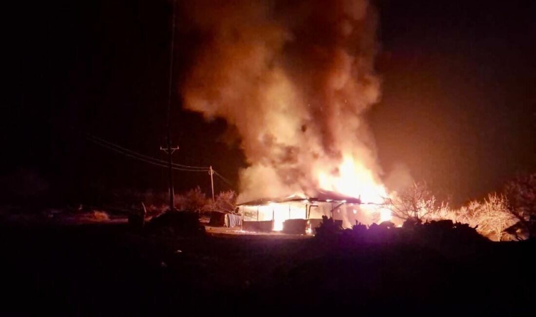 Malatya'nın Hekimhan ilçesine bağlı Kurşunlu Fatih Mezrası'nda çıkan yangın, tek