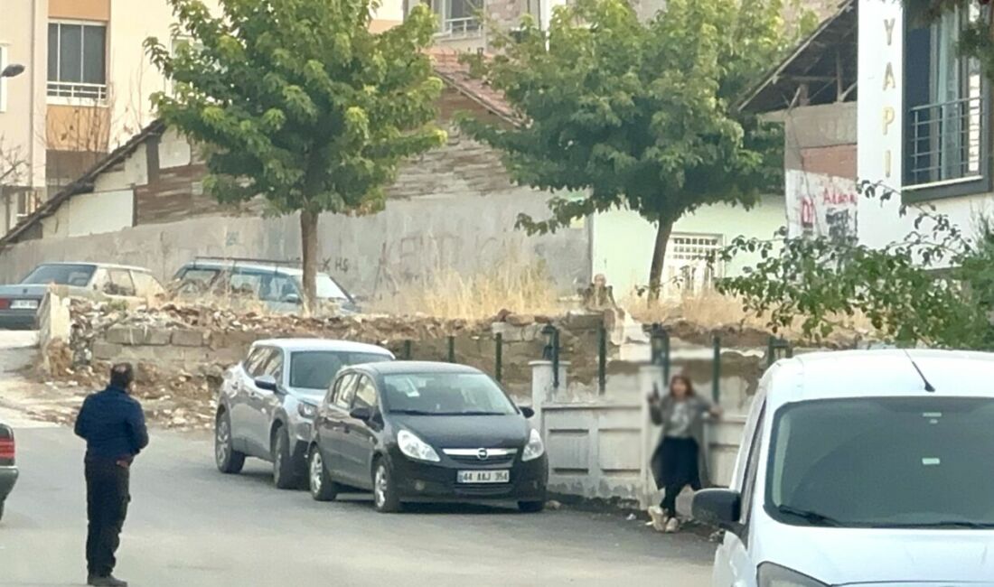 Malatya’nın Abdulgaffar Mahallesi'nde eski eşiyle tartışan genç kadın, yanında getirdiği