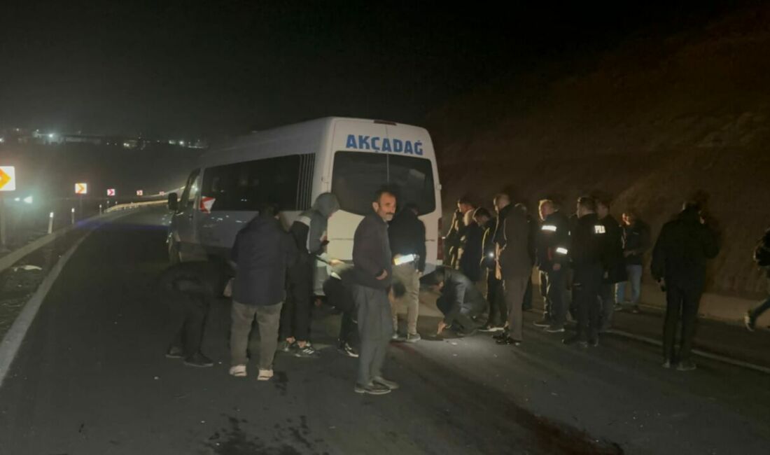 Malatya’nın Akçadağ ilçesinde Sultan Suyu Tarım İşletmesi’nden kaçan yarış taylarının