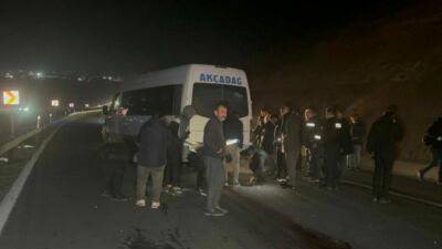 Sultan Suyu Tarım İşletmesi’nden Kaçan Taylar Karayoluna Çıktı: 8 Tay Telef Oldu Malatya’nın Akçadağ ilçesinde Sultan Suyu Tarım İşletmesi’nden kaçan yarış taylarının