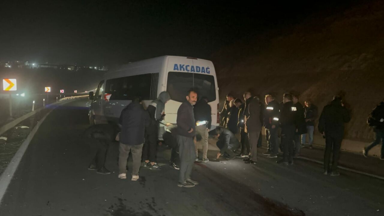 Malatya’nın Akçadağ ilçesinde Sultan Suyu Tarım İşletmesi’nden kaçan yarış taylarının