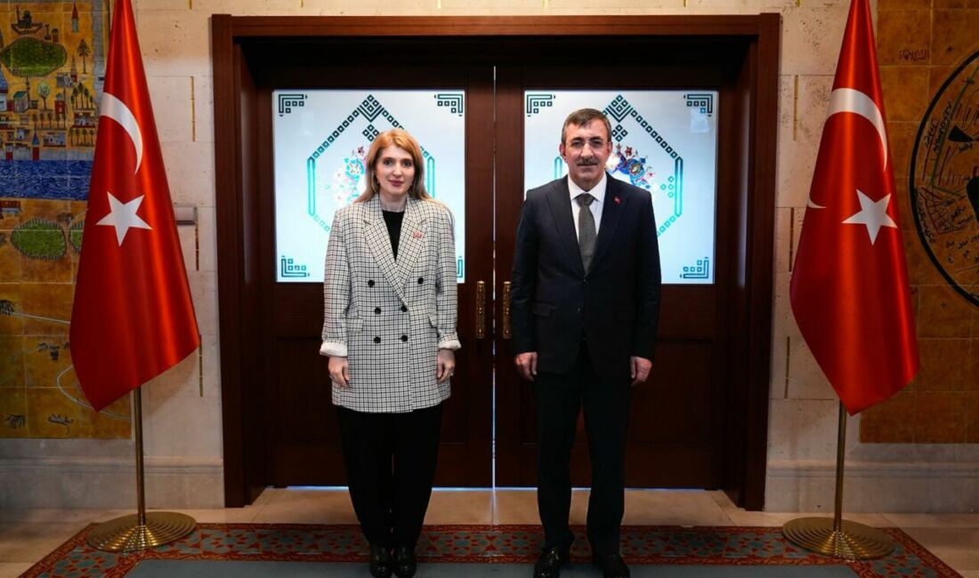 AK Parti Malatya Milletvekili İnanç Siraç Kara Ölmeztoprak, Cumhurbaşkanı Yardımcısı