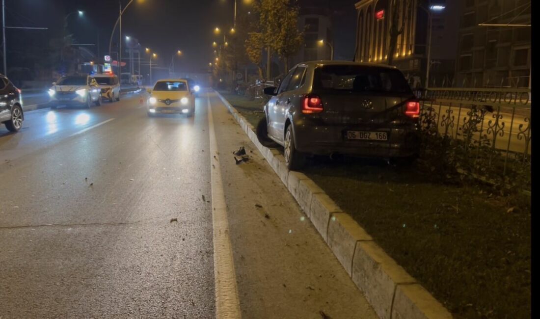 Malatya Çevreyolu'nda seyreden bir otomobil, aniden yola fırlayan sokak köpeğine