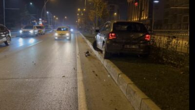 Malatya Çevreyolu'nda seyreden bir otomobil, aniden yola fırlayan sokak köpeğine