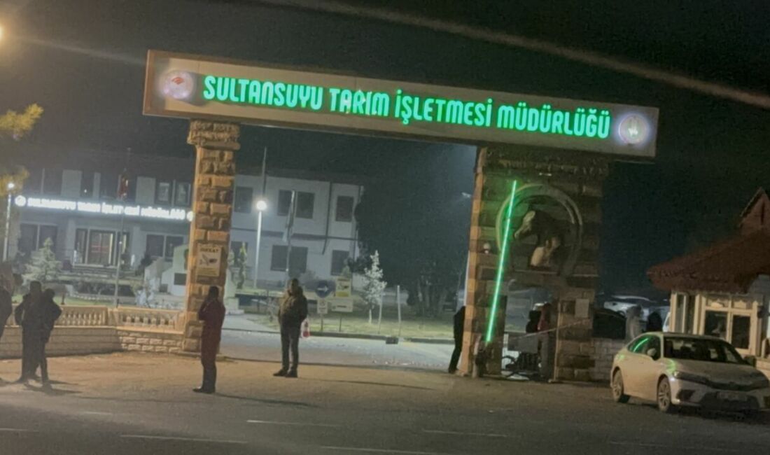 Malatya’nın Akçadağ ilçesinde Sultan Suyu Tarım İşletmesi’nden kaçan tayların karayoluna