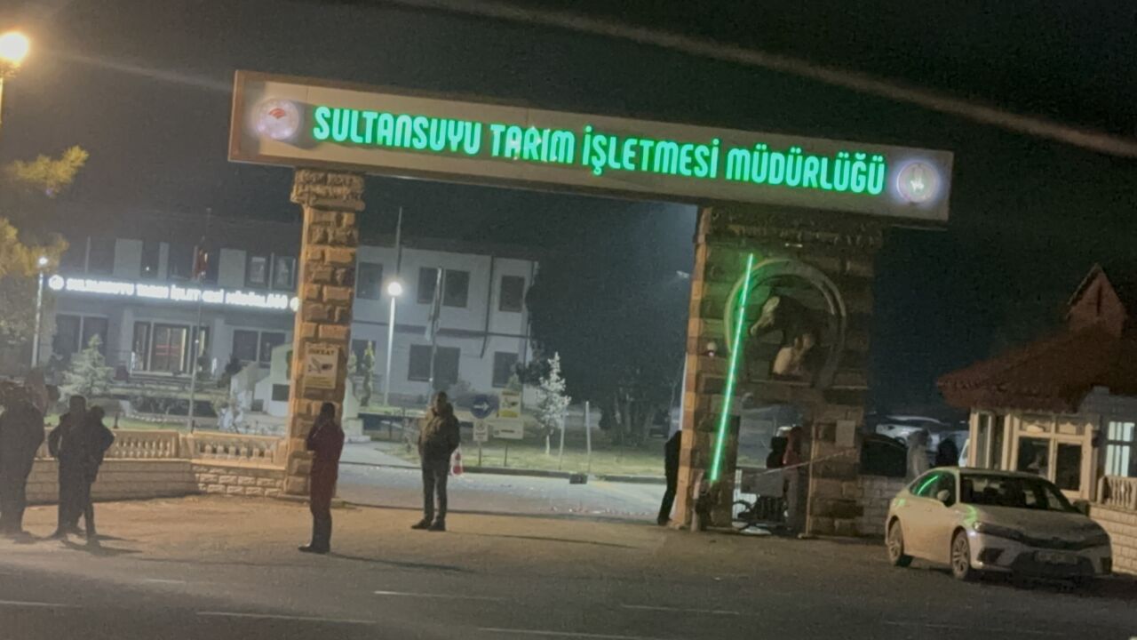 Malatya’nın Akçadağ ilçesinde Sultan Suyu Tarım İşletmesi’nden kaçan tayların karayoluna