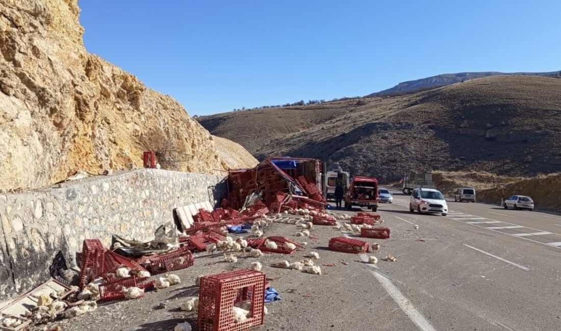 Malatya'nın Akçadağ ilçesinde tavuk yüklü kamyonun devrilmesi sonucu trafik kazası