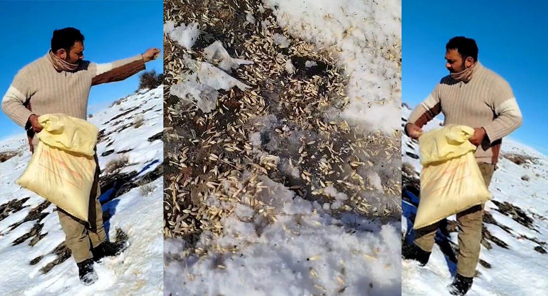 Malatya’nın Arapgir ilçesinde yaşayan Barış Yağmur, ağır kış şartları nedeniyle