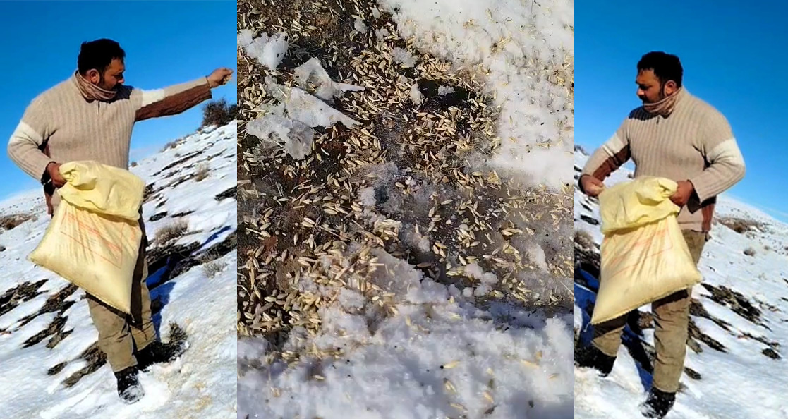 Malatya’nın Arapgir ilçesinde yaşayan Barış Yağmur, ağır kış şartları nedeniyle