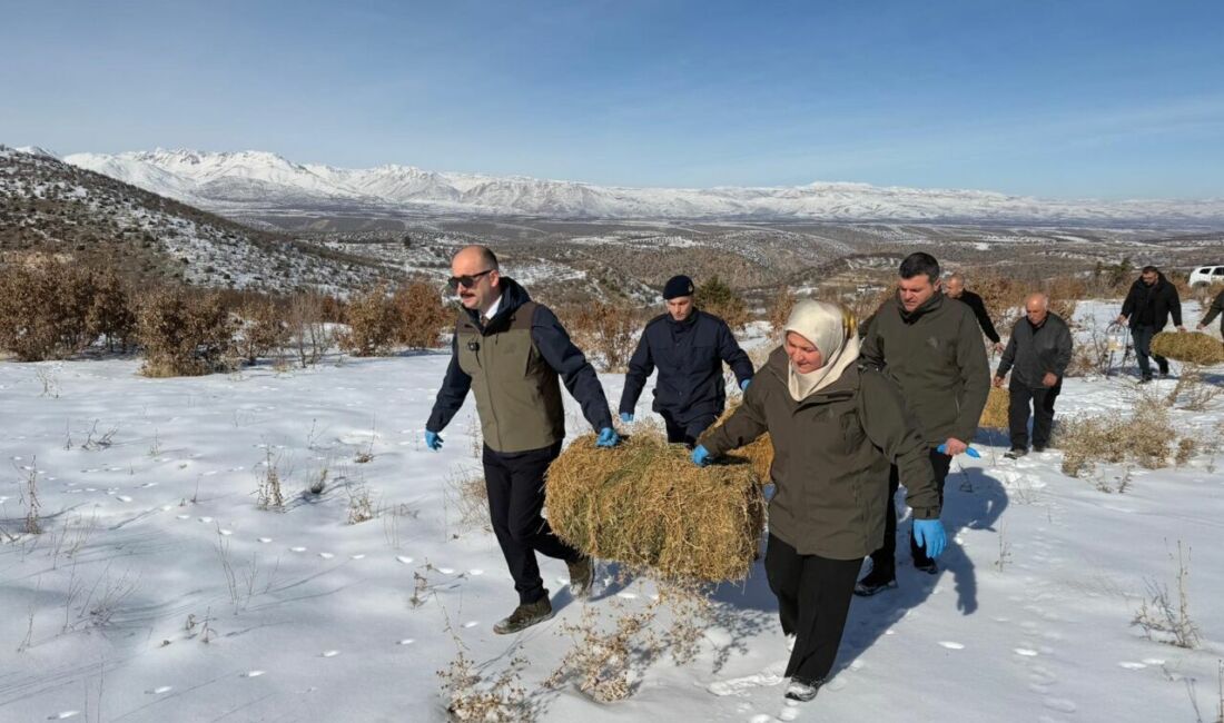 Doğanşehir’de kış şartları nedeniyle yiyecek bulmakta zorlanan yaban hayvanları için