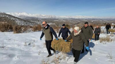 Doğanşehir’de kış şartları nedeniyle yiyecek bulmakta zorlanan yaban hayvanları için
