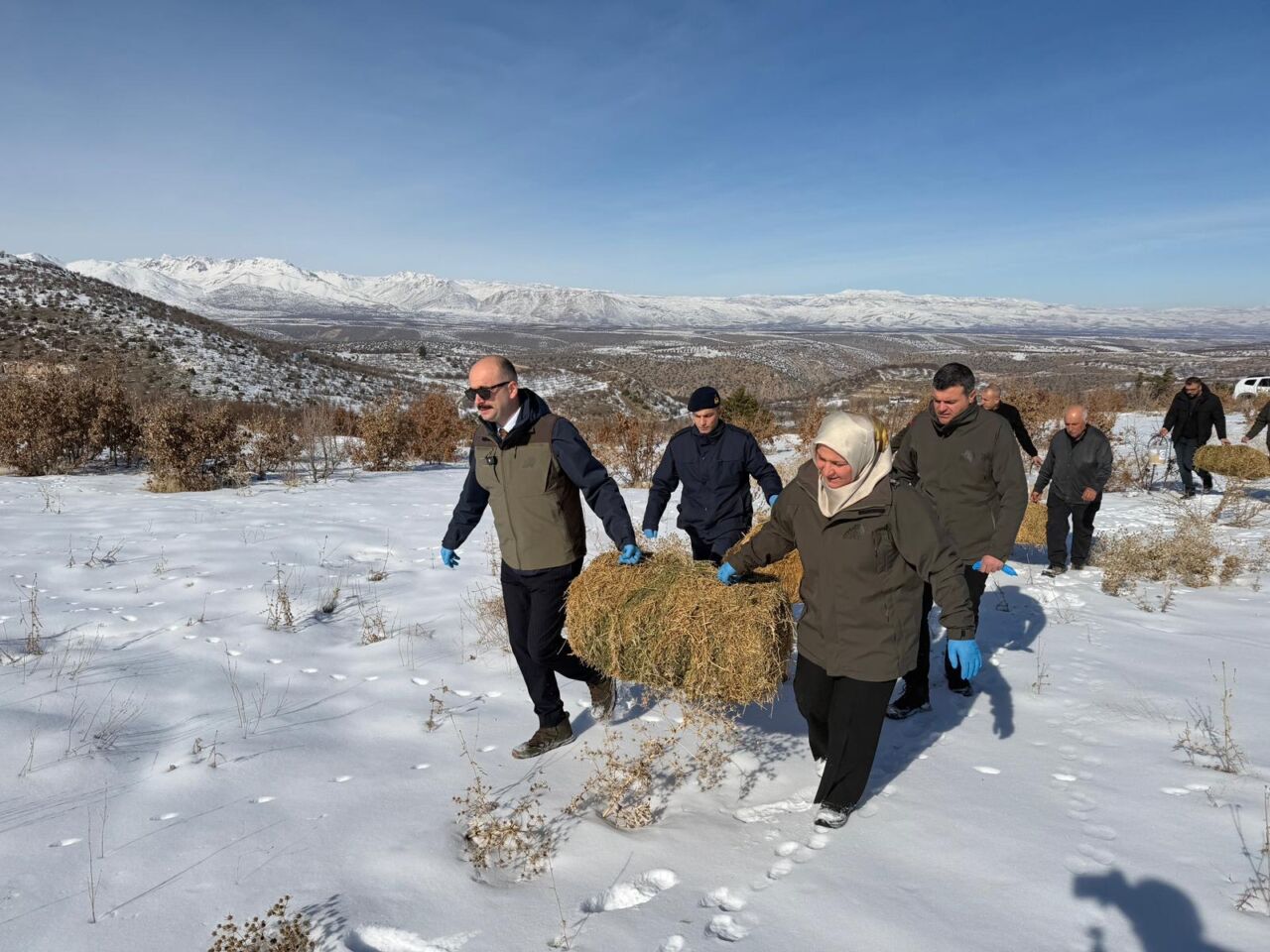 Doğanşehir’de kış şartları nedeniyle yiyecek bulmakta zorlanan yaban hayvanları için