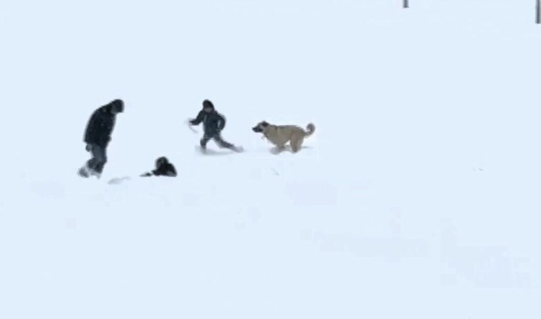 Malatya’da etkili olan kar yağışı en çok çocukları sevindirdi. Yarıyıl
