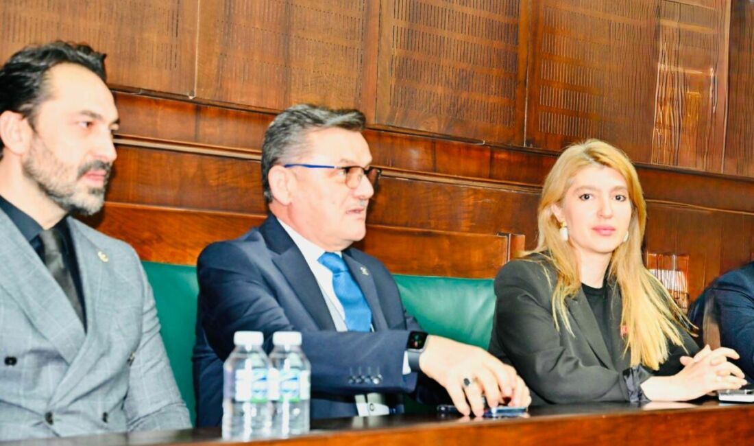 AK Parti Malatya Milletvekili İnanç Siraç Kara Ölmeztoprak, TBMM’deki AK