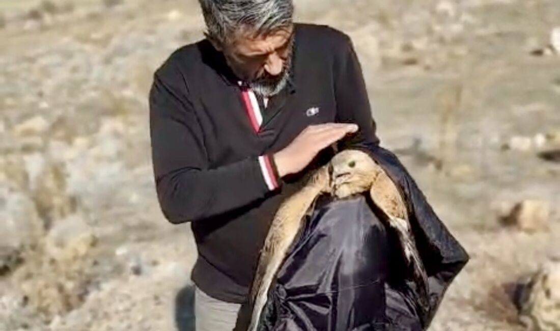 Malatya’nın Yeşilyurt ilçesinde duyarlı vatandaşlar, kırsal alanda kanadı kırık halde