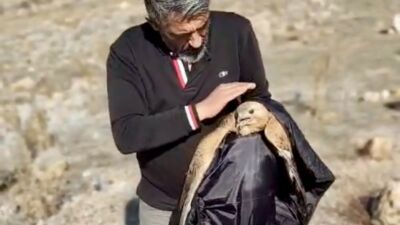 Malatya’nın Yeşilyurt ilçesinde duyarlı vatandaşlar, kırsal alanda kanadı kırık halde