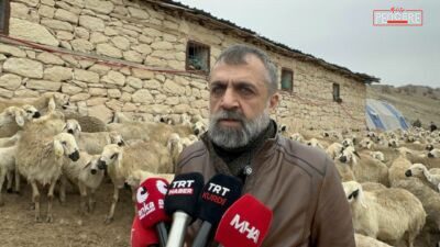 Malatya genelinde kuzu doğumlarının başlamasıyla birlikte küçükbaş yetiştiricileri yoğun bir