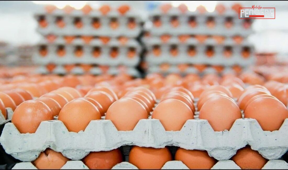 Tarım ve Orman Bakanlığı, küçük miktardaki yumurtaların doğrudan satışına ilişkin
