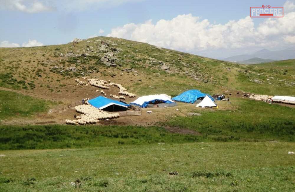 Sarıçiçek Yaylası, Osmanlı döneminden bu yana “peynir ve bal kaynağı”