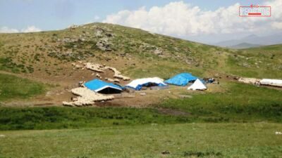 Sarıçiçek Yaylası, Osmanlı döneminden bu yana “peynir ve bal kaynağı”