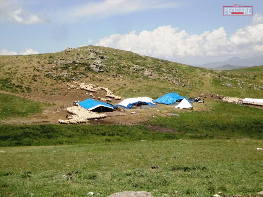 Sarıçiçek Yaylası, Osmanlı döneminden bu yana “peynir ve bal kaynağı”