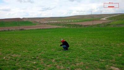 Malatya’nın Yazıhan ilçesinde buğday üretiminde verim ve sürdürülebilirliği artırmak amacıyla
