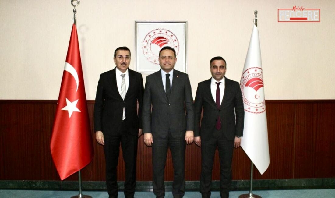 Malatya’nın Akçadağ ilçesinde kurulması planlanan Küçük Sanayi Sitesi için arazi