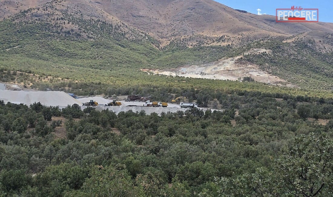 Malatya’da doğa için önemli karar! Doğanşehir’de kurulması planlanan boksit taş