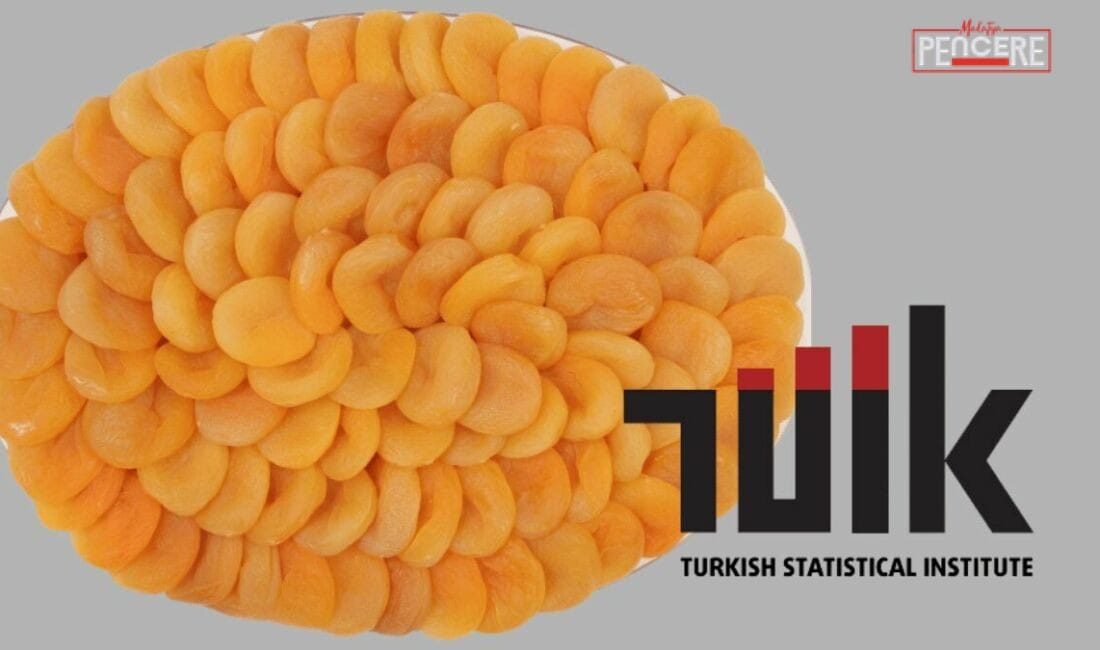 Türkiye İstatistik Kurumu’nun açıkladığı 2024-2025 piyasa dönemi Bitkisel Ürün Denge