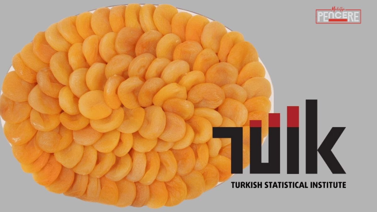 Türkiye İstatistik Kurumu’nun açıkladığı 2024-2025 piyasa dönemi Bitkisel Ürün Denge