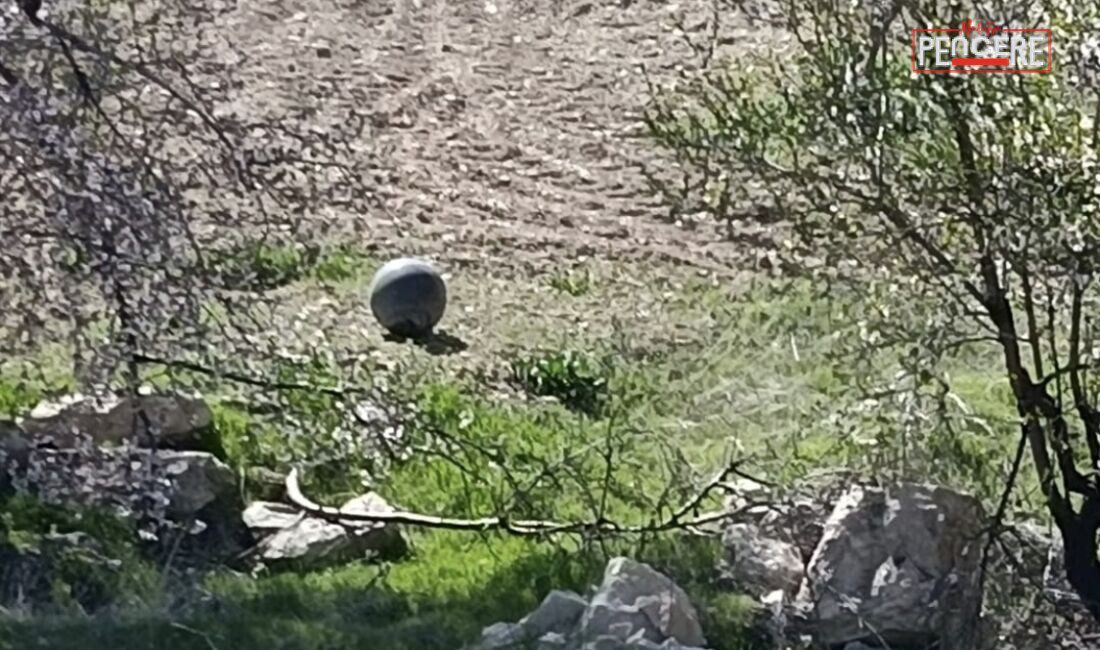 Elazığ’ın Baskil ilçesinde boş arazide bulunan şüpheli metal cisim, bölgede
