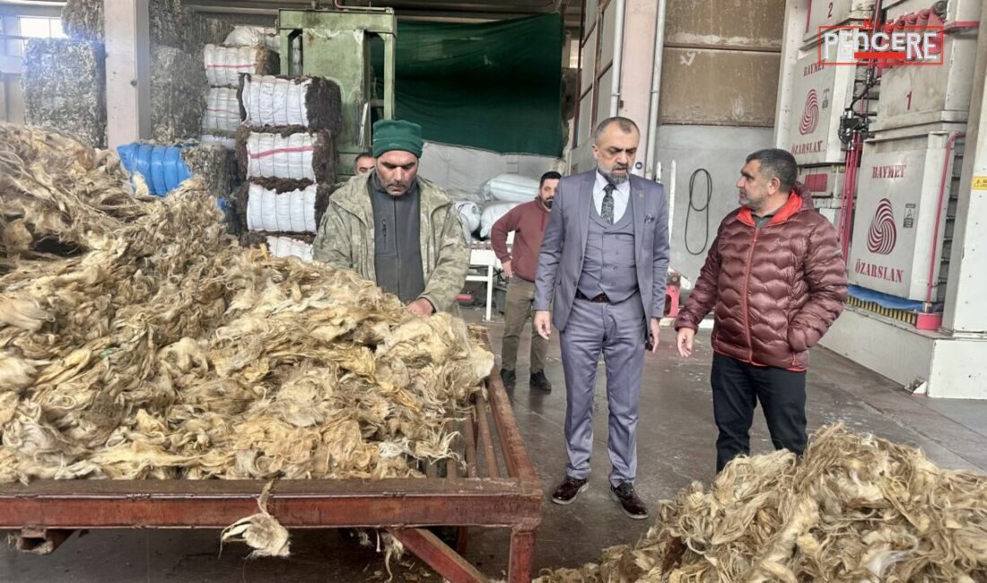 Malatya’da kurulan yün işleme fabrikasıyla küçükbaş hayvancılıktan elde edilen yünler