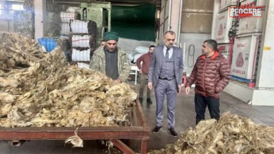 Malatya’da kurulan yün işleme fabrikasıyla küçükbaş hayvancılıktan elde edilen yünler