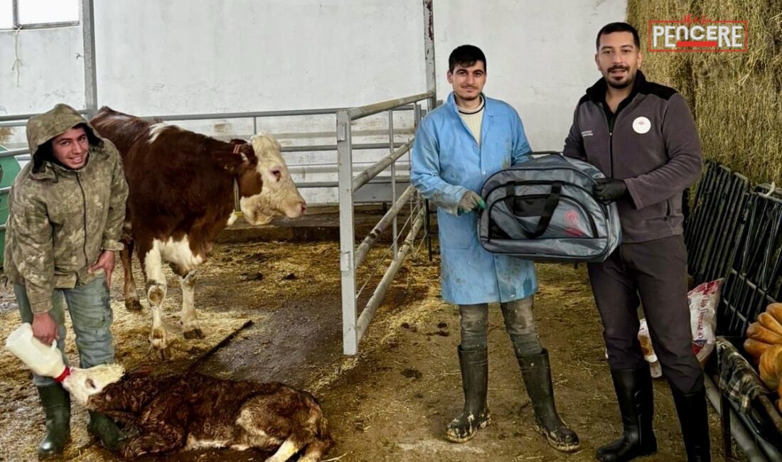 Malatya İl Tarım ve Orman Müdürlüğü tarafından yürütülen “Yaşasın Buzağılar”