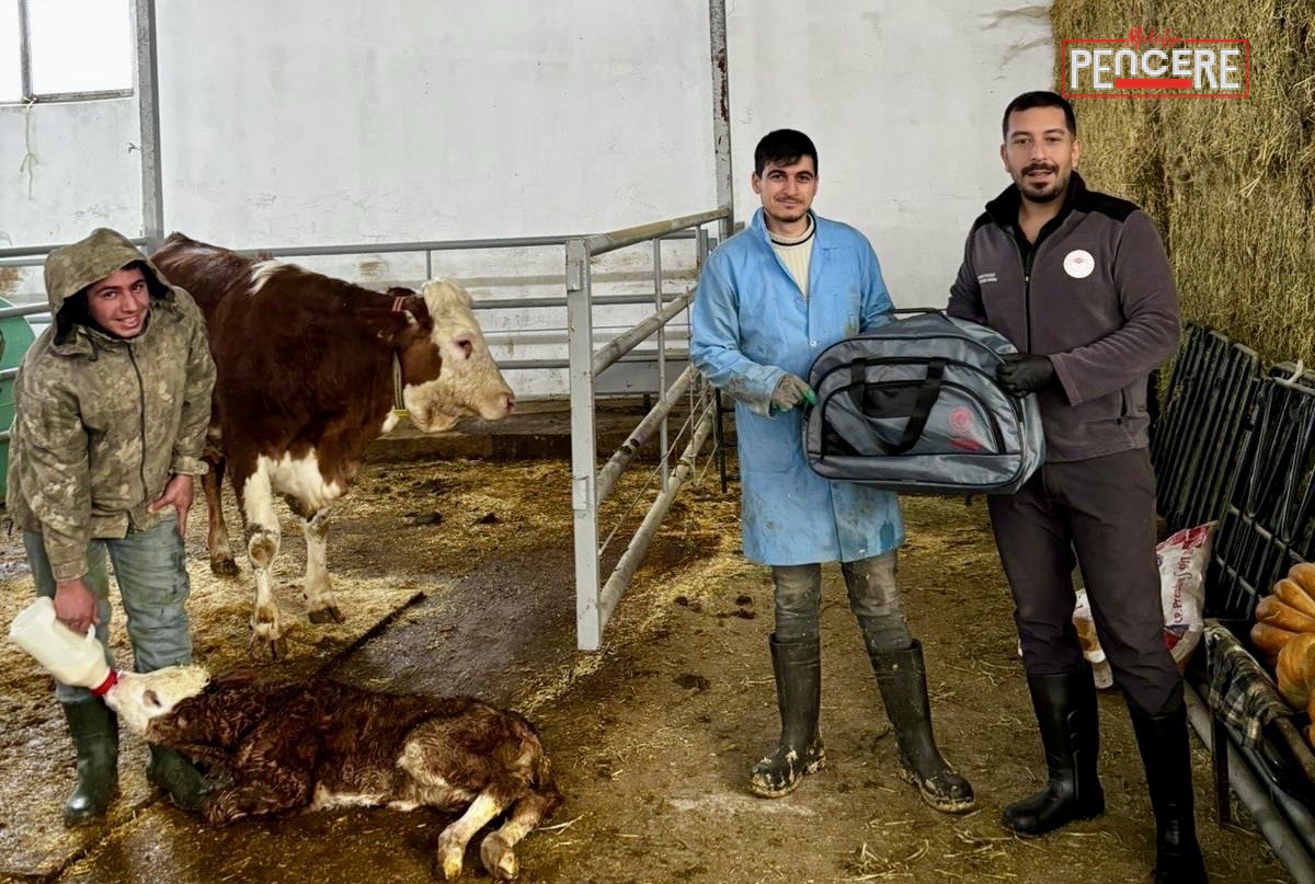 Malatya İl Tarım ve Orman Müdürlüğü tarafından yürütülen “Yaşasın Buzağılar”