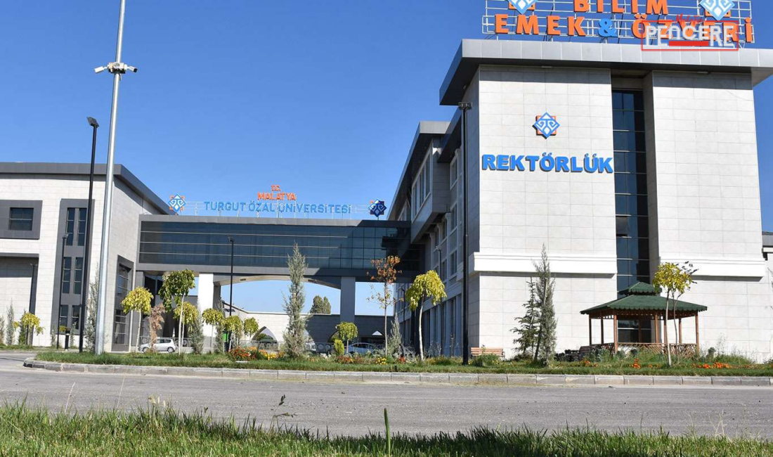 MTÜ Kampüsünde Köpek Yavruları İddiası: Üniversite İnceleme Başlattı