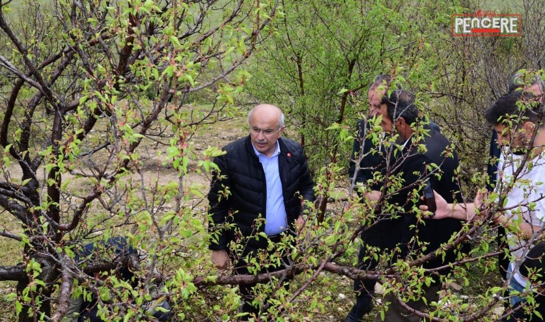 Sami Er, dolu afetinden etkilenen ilçelerde üreticilerle buluştu. Hasarın envanterinin