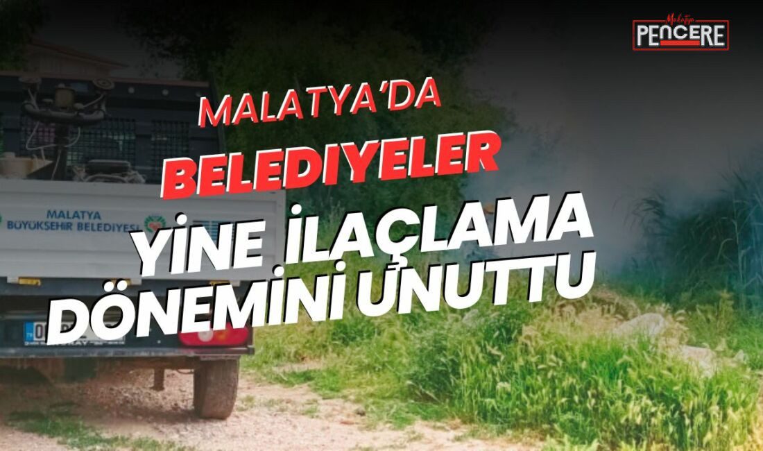 Baharın gelmesiyle birlikte Malatya’da sinek ve haşere popülasyonunda patlama yaşanıyor.