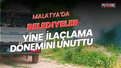 Baharın gelmesiyle birlikte Malatya’da sinek ve haşere popülasyonunda patlama yaşanıyor.