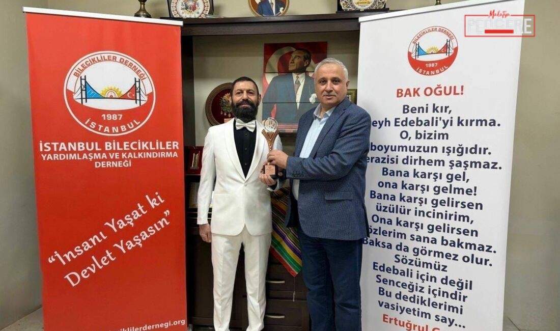 International Peace Prize ödüllü, Nobel Barış Ödülü adayı ve barış