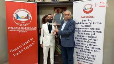 International Peace Prize ödüllü, Nobel Barış Ödülü adayı ve barış