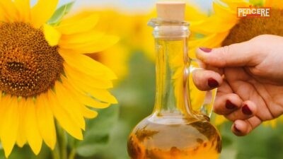 Son bir yılda artan ayçiçek yağı ticareti, Türkiye’nin gıda ihracatındaki