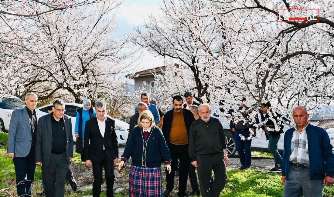 AK Parti Malatya Milletvekili İnanç Siraç Kara Ölmeztoprak, Kale ilçesinde