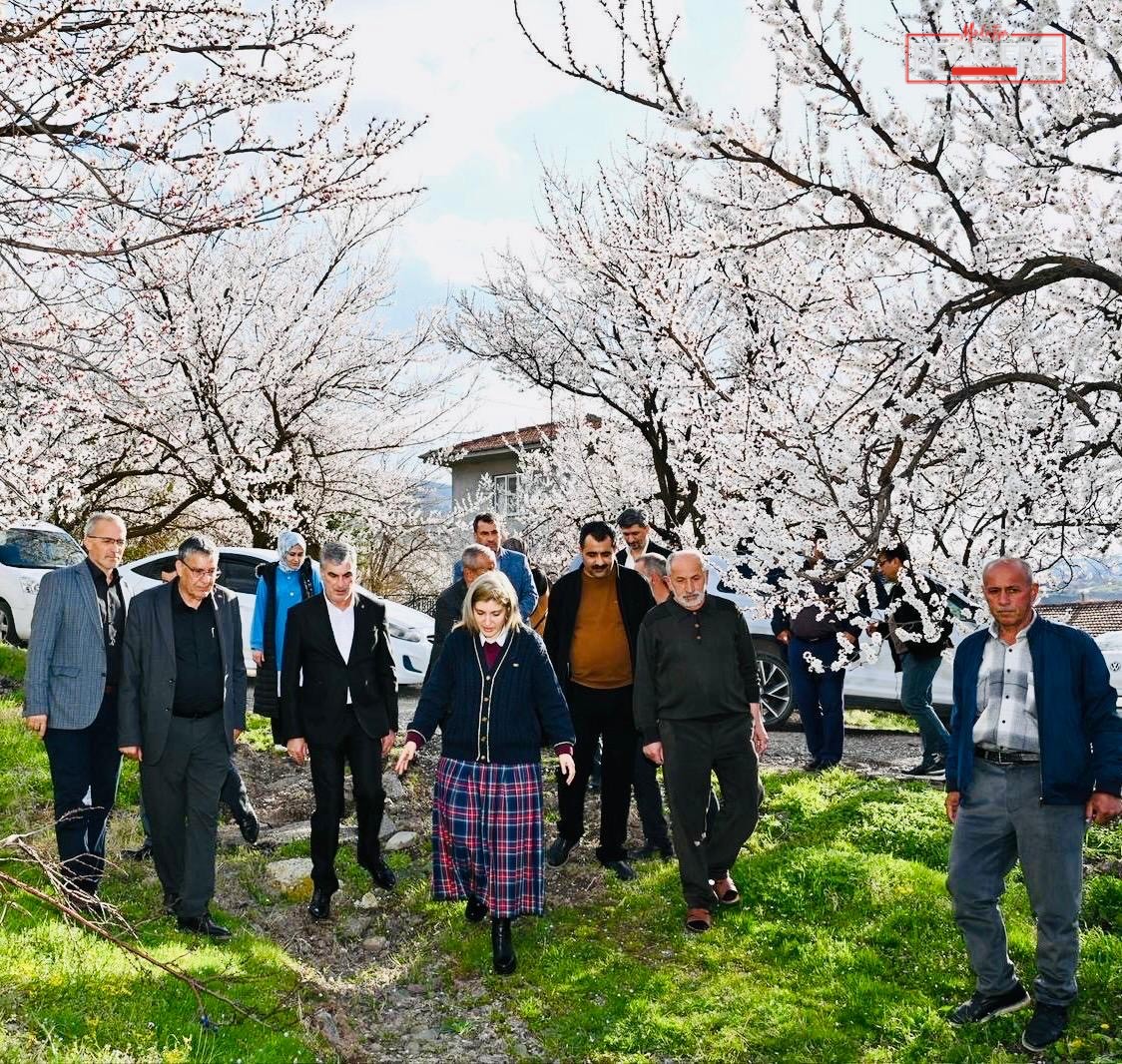 AK Parti Malatya Milletvekili İnanç Siraç Kara Ölmeztoprak, Kale ilçesinde