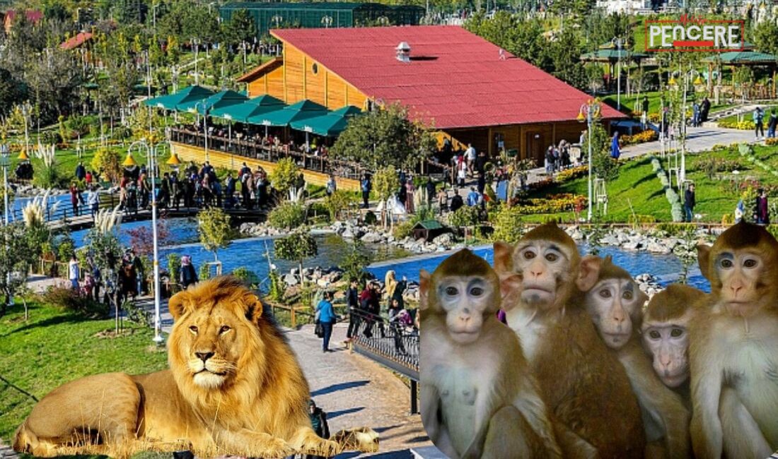 Malatya’nın Orduzu Turgut Özal Tabiat Parkı içerisinde yer alan Hayvanat