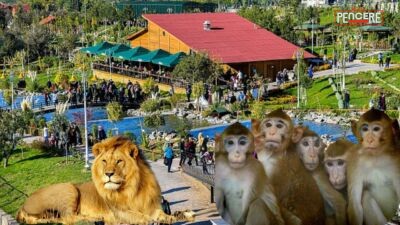 Malatya’nın Orduzu Turgut Özal Tabiat Parkı içerisinde yer alan Hayvanat