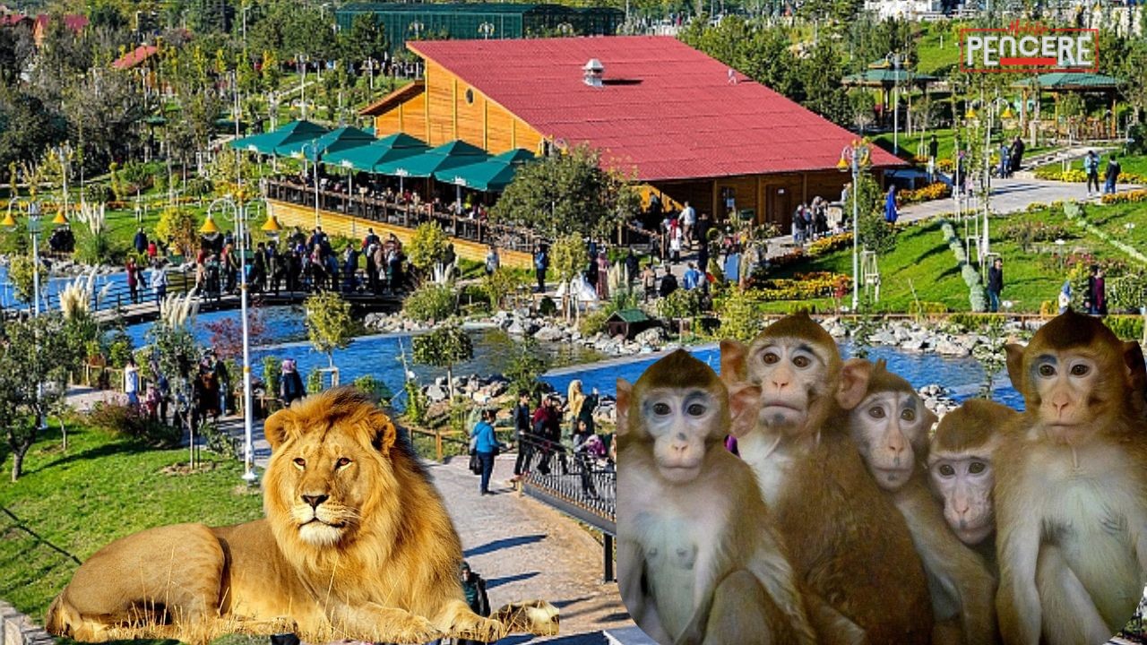 Malatya’nın Orduzu Turgut Özal Tabiat Parkı içerisinde yer alan Hayvanat