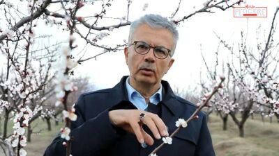 Malatya’da kayısı başta olmak üzere tarım ürünlerini etkileyebilecek don riski