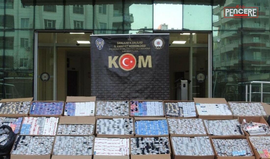 Şanlıurfa’da düzenlenen operasyonda 30 bin paket kaçak sigara ele geçirildi.Gözaltına