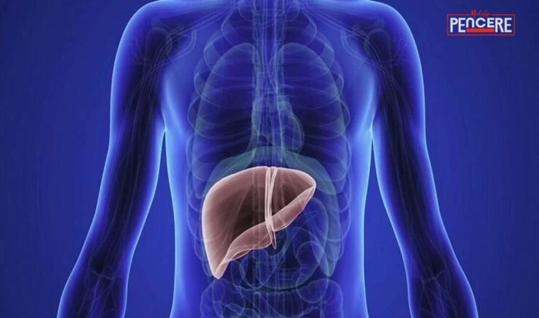 Gastroenteroloji Uzmanı Prof. Dr. Hakan Ünal, “karaciğer detoksu” gibi masum